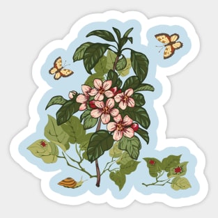 Botanical illustration of a plant, butterflies, snail and ladybugs Sticker